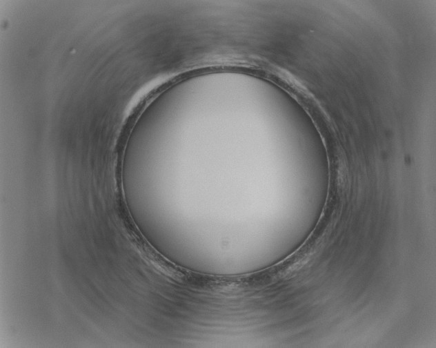 X0000076401222200610271610