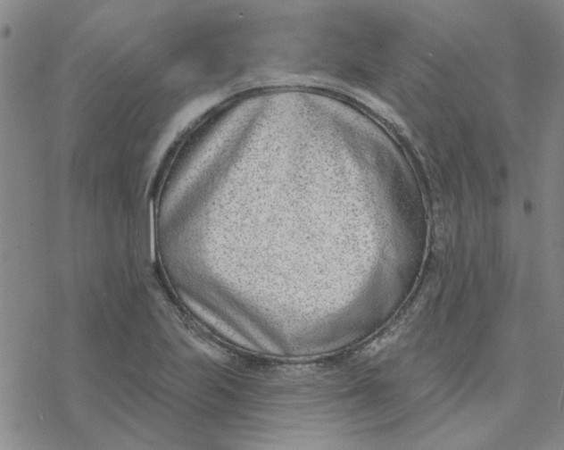 X0000076401223200610271610