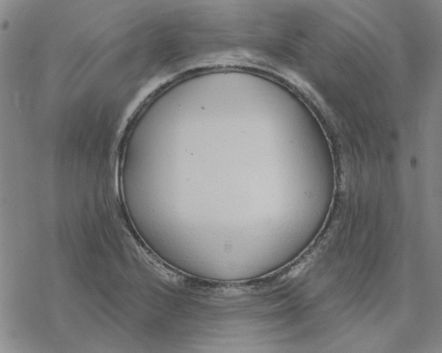 X0000076401224200610271610