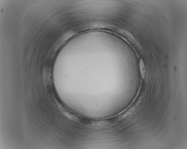 X0000076401225200610271610