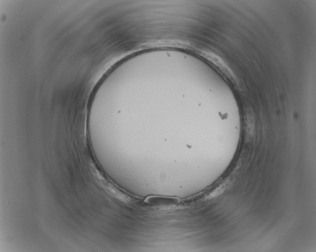 X0000076401228200610271610