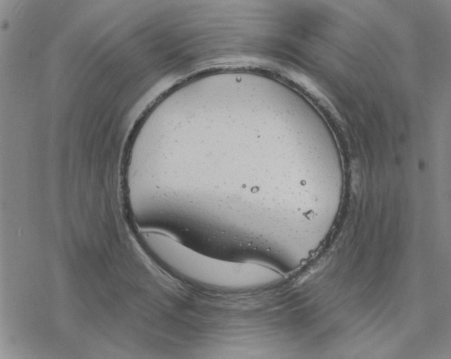 X0000076401229200610271610