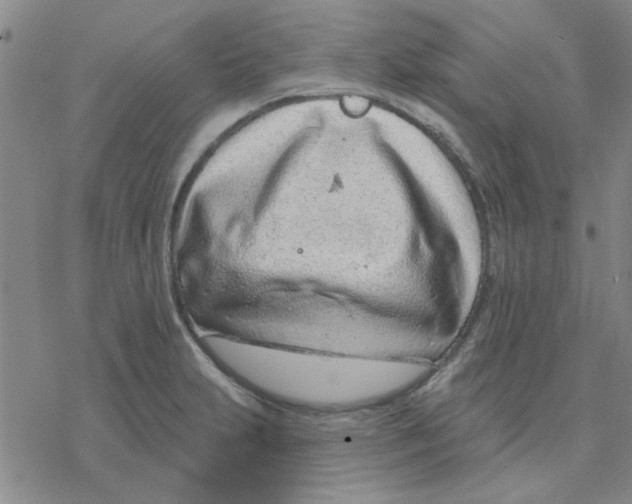 X0000076401231200610271610