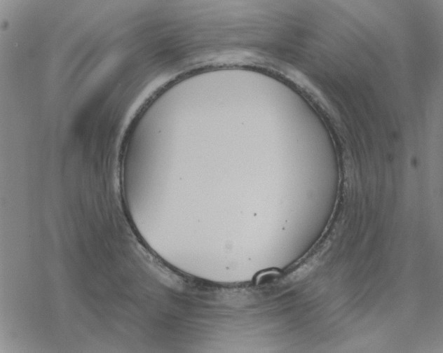 X0000076401232200610271610