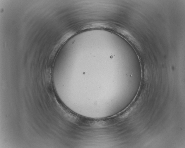 X0000076401233200610271610