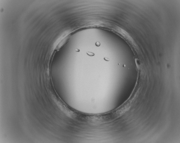 X0000076401234200610271610