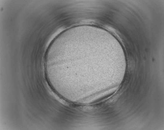 X0000076401235200610271610