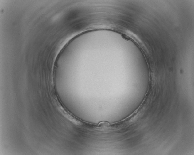 X0000076401236200610271610