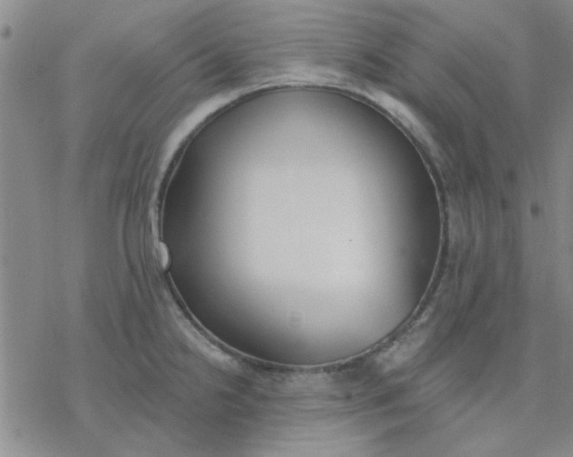 X0000076401238200610271610