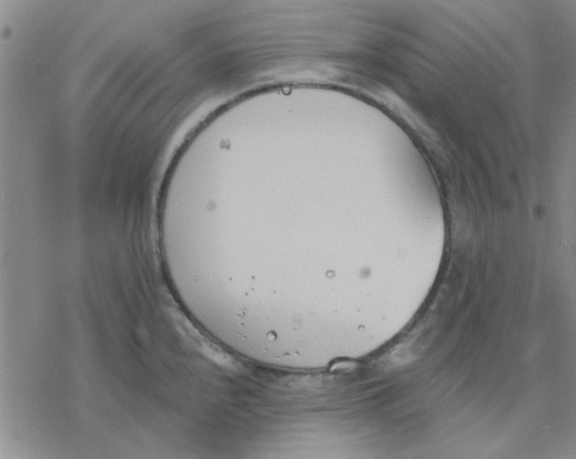 X0000076401240200610271610