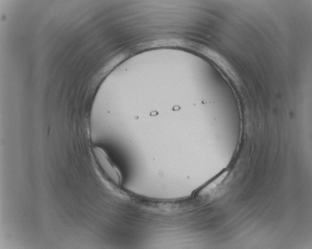 X0000076401241200610271610