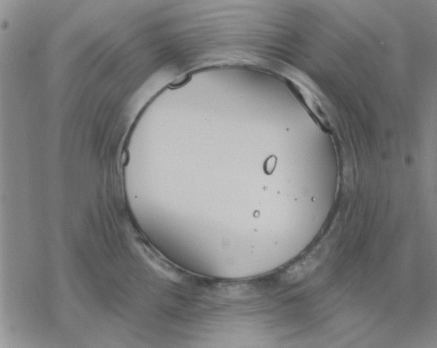 X0000076401242200610271610