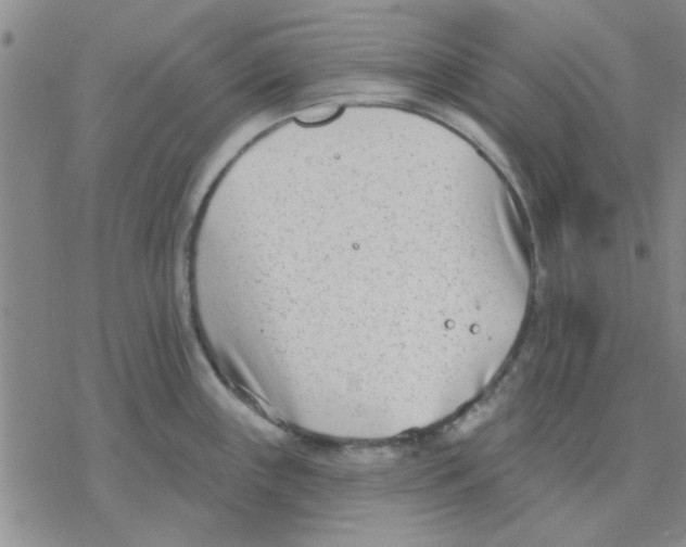 X0000076401243200610271610