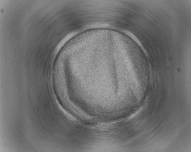 X0000076401245200610271610