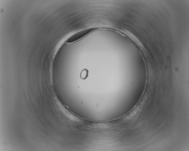 X0000076401246200610271610