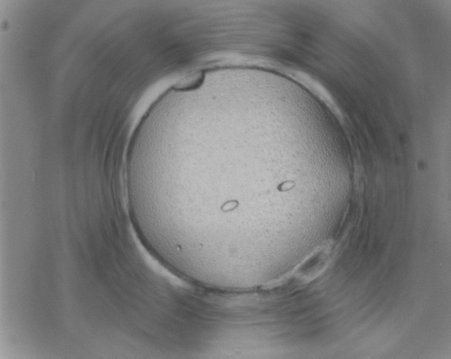 X0000076401247200610271610