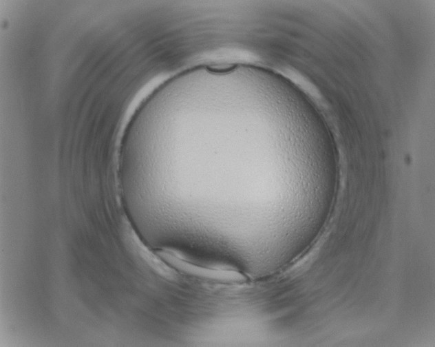 X0000076401248200610271610