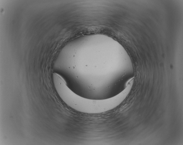 X0000076401249200610271609