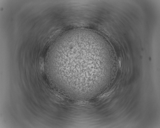 X0000076401251200610271609