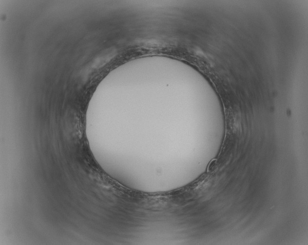 X0000076401253200610271609