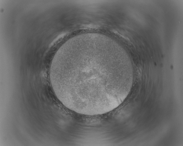 X0000076401254200610271609