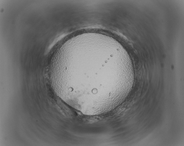 X0000076401255200610271609