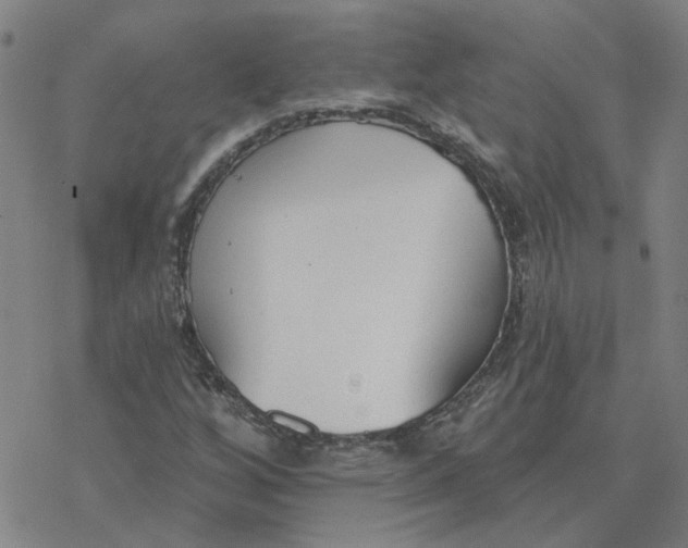 X0000076401256200610271609