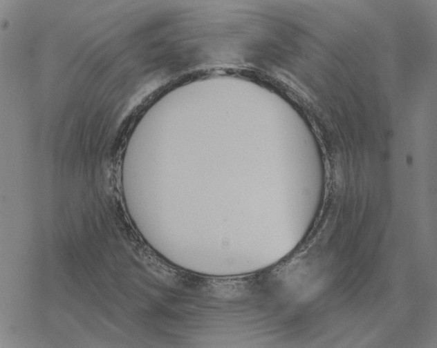 X0000076401258200610271609