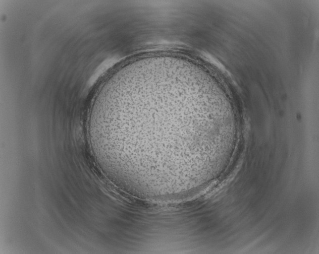 X0000076401259200610271609