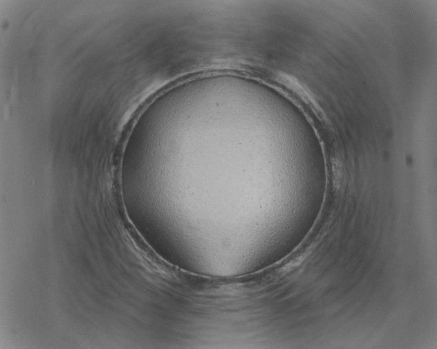 X0000076401260200610271609