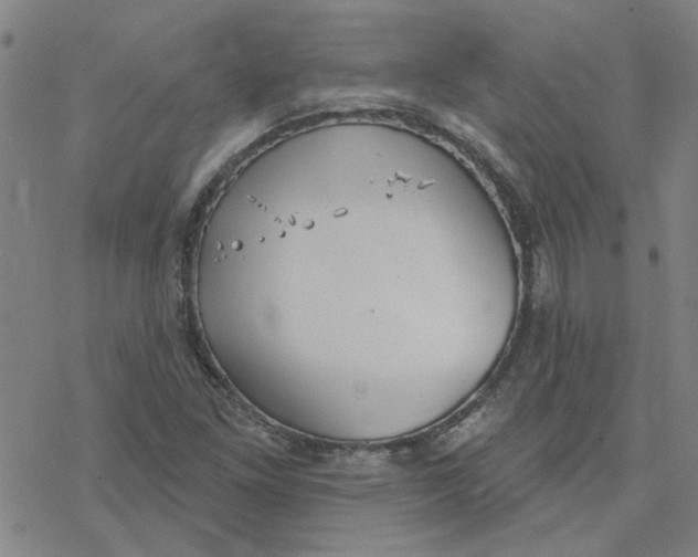 X0000076401261200610271609