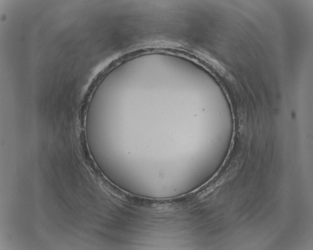 X0000076401264200610271609