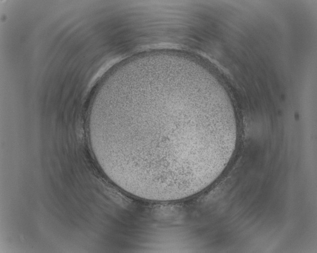 X0000076401266200610271609