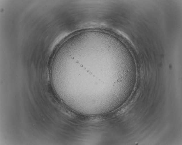 X0000076401267200610271609