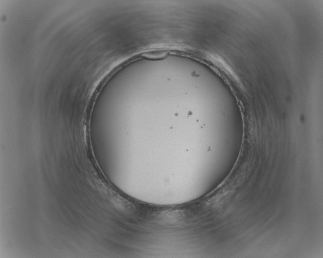 X0000076401268200610271609