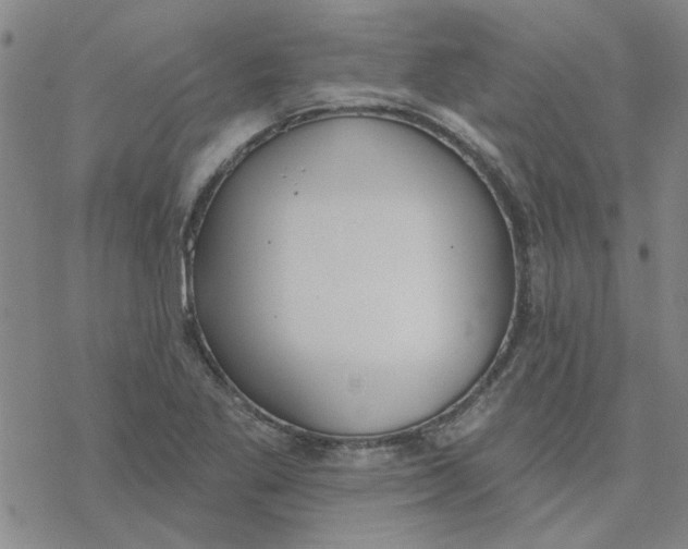 X0000076401269200610271609