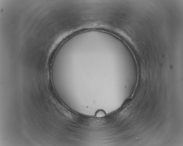 X0000076401270200610271609