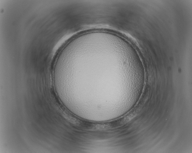 X0000076401271200610271609