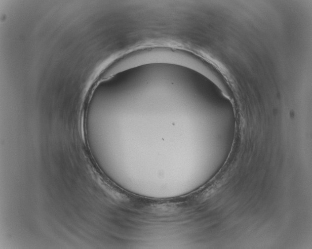 X0000076401272200610271609