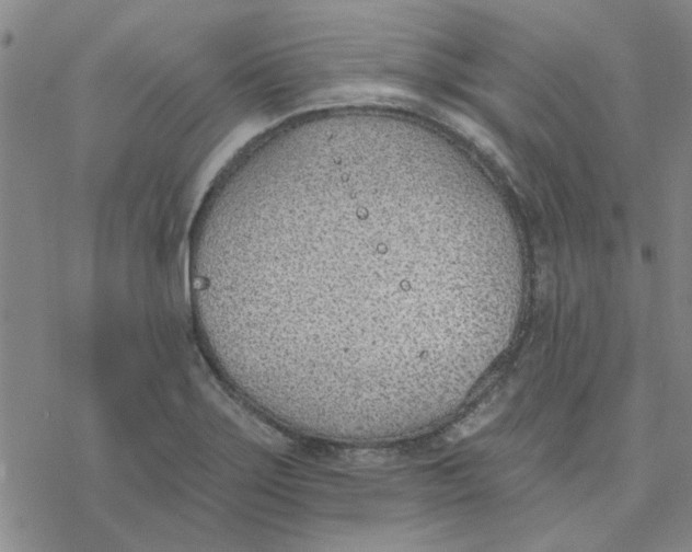 X0000076401275200610271609