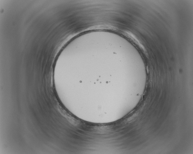 X0000076401276200610271609