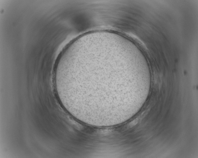 X0000076401278200610271609