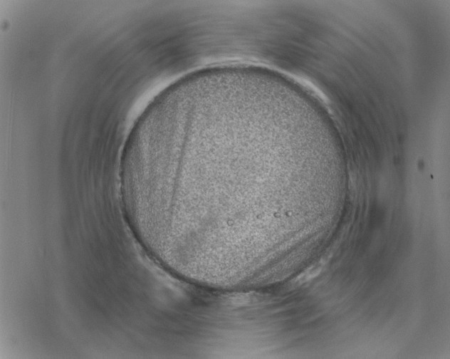 X0000076401279200610271609