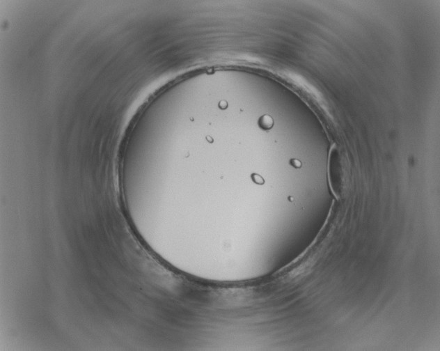 X0000076401280200610271609