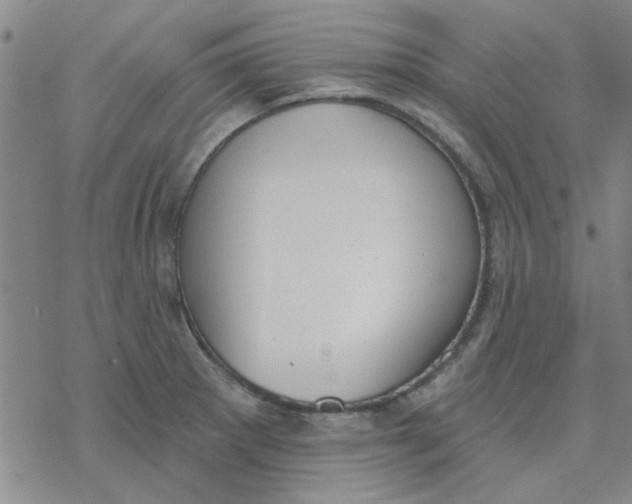 X0000076401281200610271609