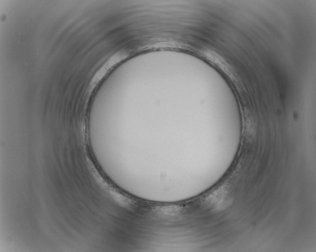 X0000076401282200610271609