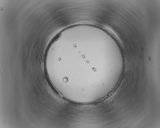 X0000076401284200610271609