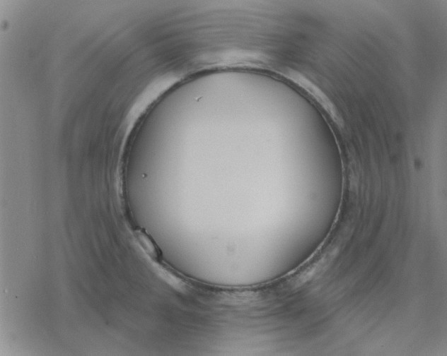 X0000076401285200610271609