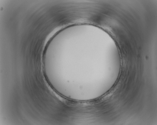 X0000076401286200610271609