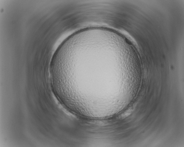 X0000076401287200610271609